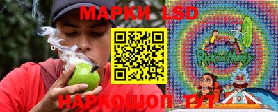 амф Коммунар