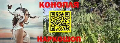амф Коммунар