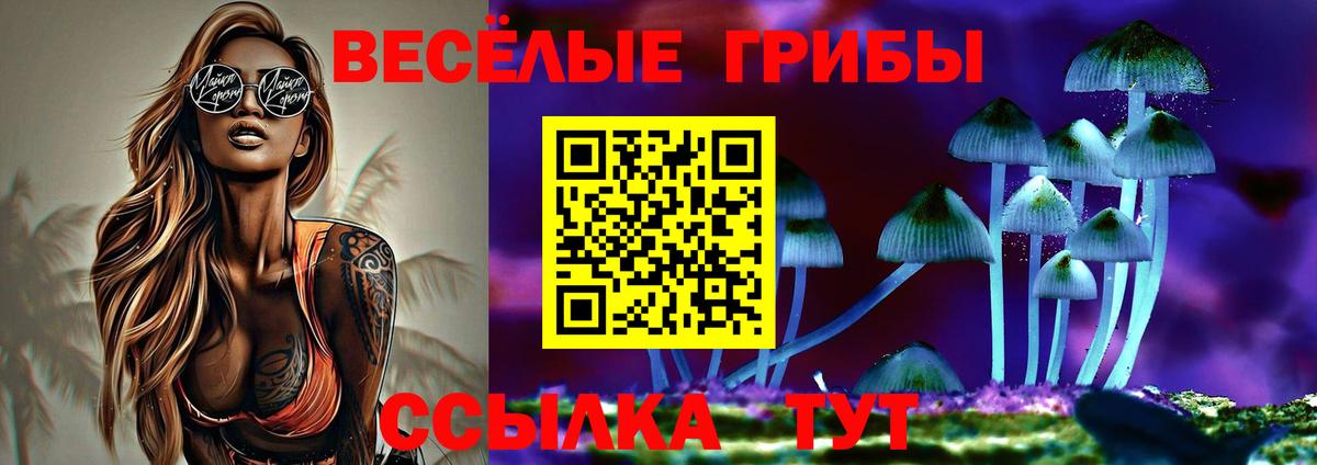 хочу   Галлюциногенные грибы Psilocybe  Псилоцибиновые грибы Psilocybe  Вход с VPN  Маркс 